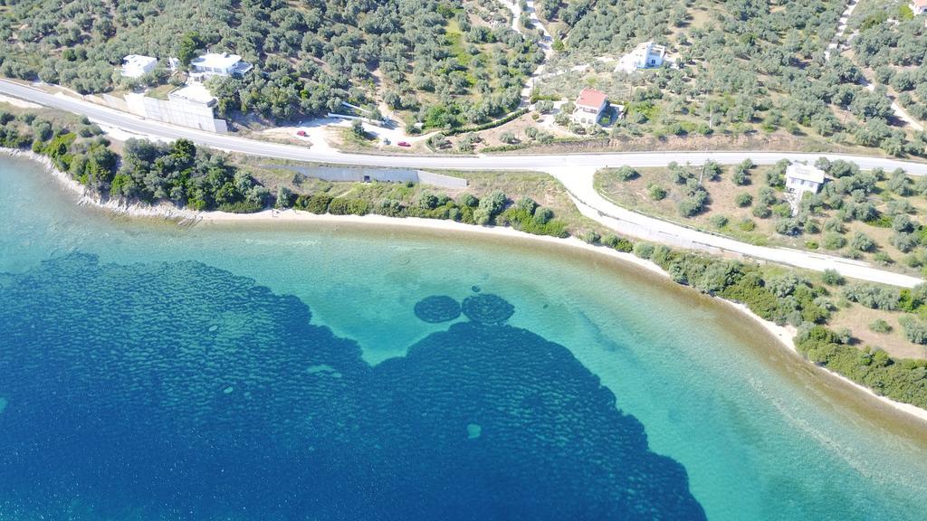Calypso Beach Hotel Loutra Edipsou (Evia) Exterior foto